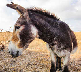 Similar image 10936174