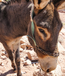 Similar image 10936175