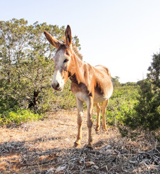 Similar image 10936176