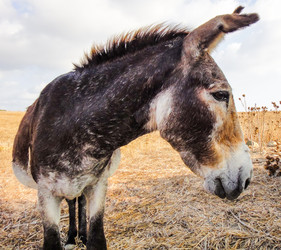 Similar image 10936184