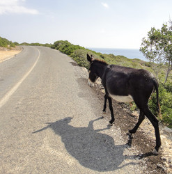 Similar image 10936131