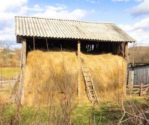 Similar image 10936139