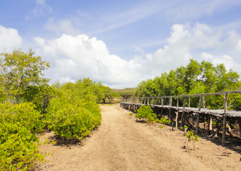 Similar image 10936155