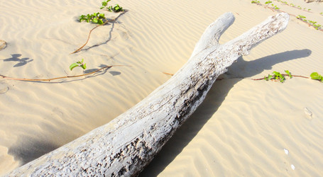 Similar image 10936160