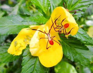 Similar image 10936161