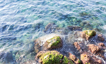 Similar image 10936165