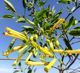 Similar image 10937710