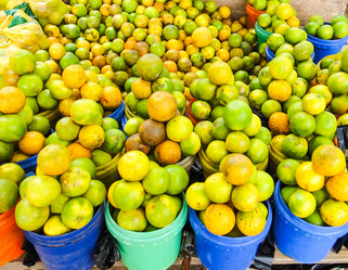 Similar image 10937673