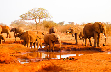 Similar image 10937692