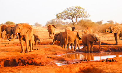 Similar image 10937693