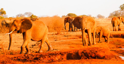 Similar image 10937694