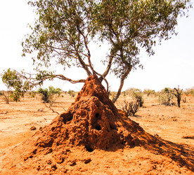 Similar image 10937695