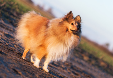 Similar image 10937572