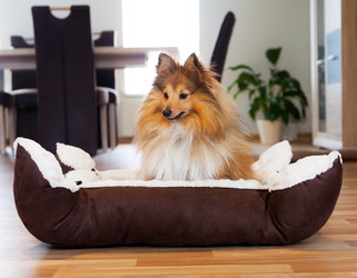 Similar image 10937576