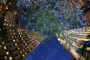 Similar image 10937750