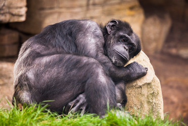 Similar image 10937556