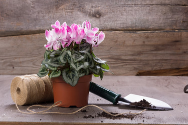 Similar image 10939489