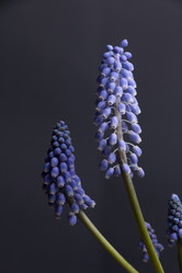 Similar image 10939492