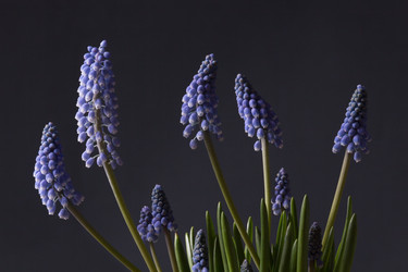 Similar image 10939494