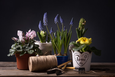 Similar image 10939495