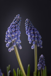 Similar image 10939496