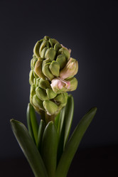 Similar image 10939497