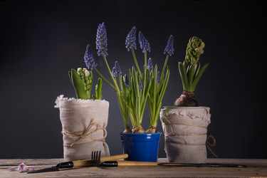 Similar image 10939498