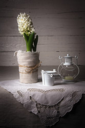 Similar image 10939509