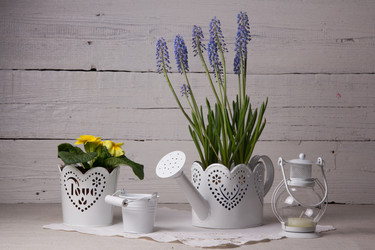 Similar image 10939510