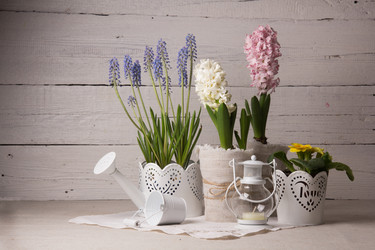 Similar image 10939511