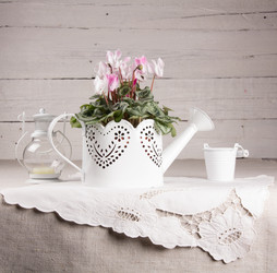 Similar image 10939512