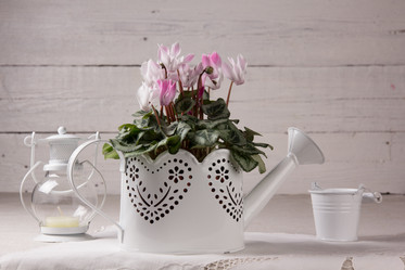 Similar image 10939513