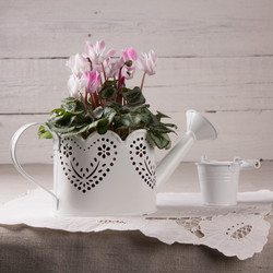 Similar image 10939514