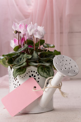 Similar image 10939517