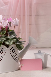 Similar image 10939518