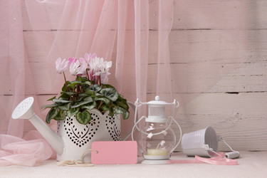 Similar image 10939519