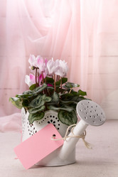 Similar image 10939520