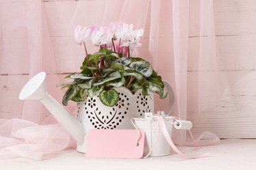 Similar image 10939522