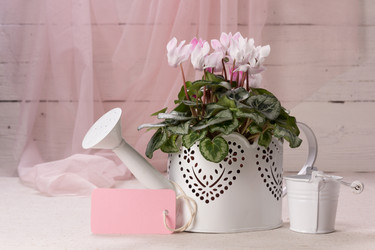 Similar image 10939523