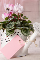 Similar image 10939525