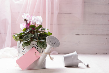 Similar image 10939527