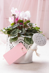 Similar image 10939528