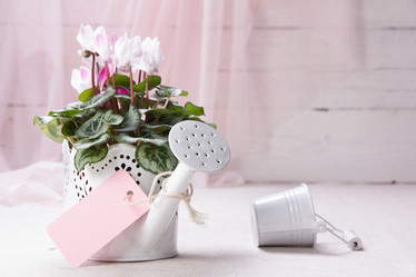 Similar image 10939546