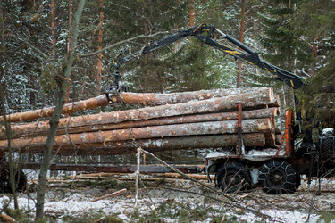 Similar image 10948160