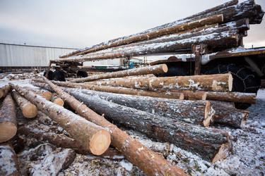 Similar image 10948163