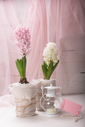 Similar image 10939548