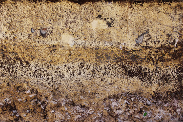 Similar image 10937623