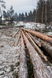 Similar image 10948176