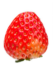 Similar image 10937756