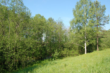 Similar image 10943609